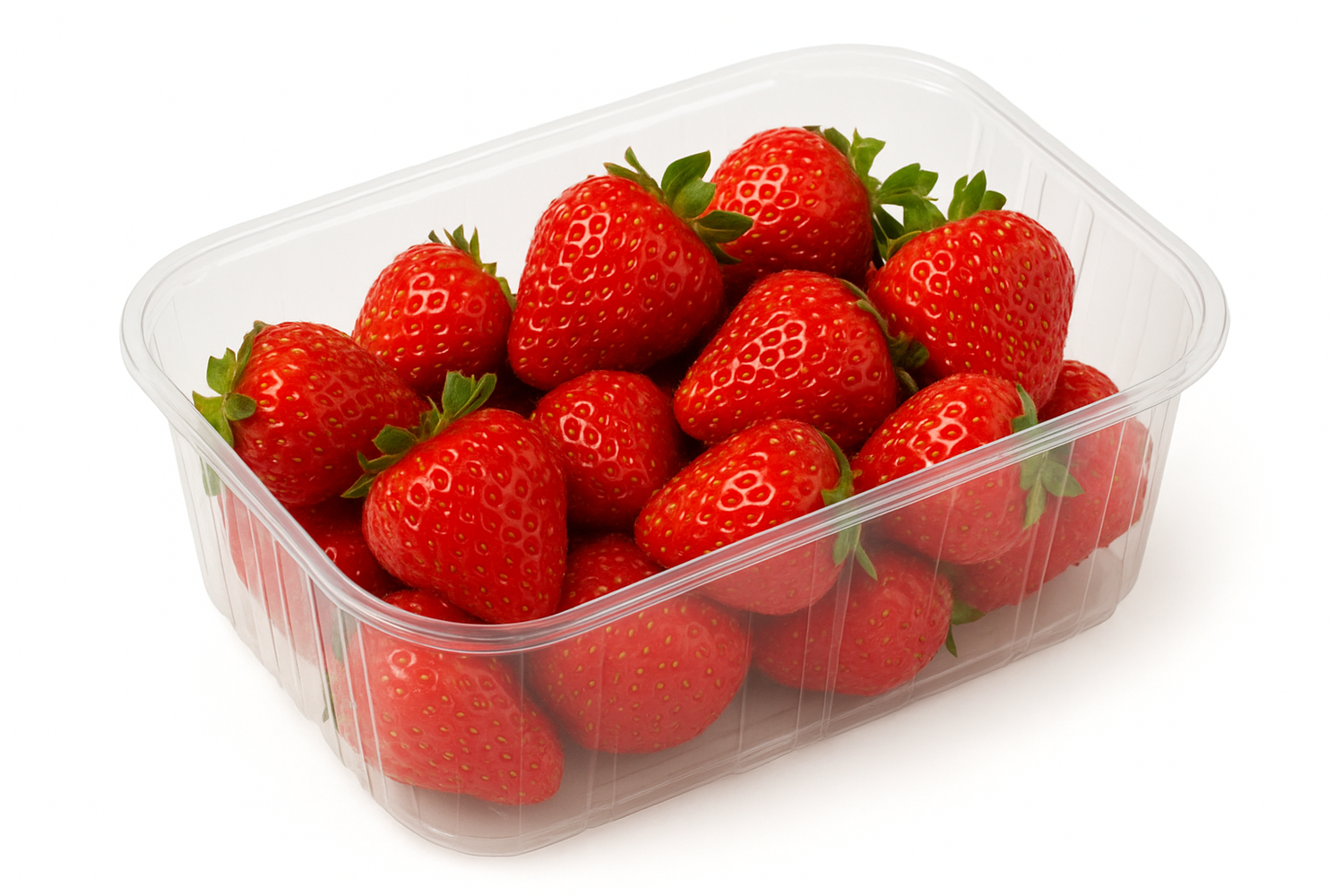 Fruitbak plastic